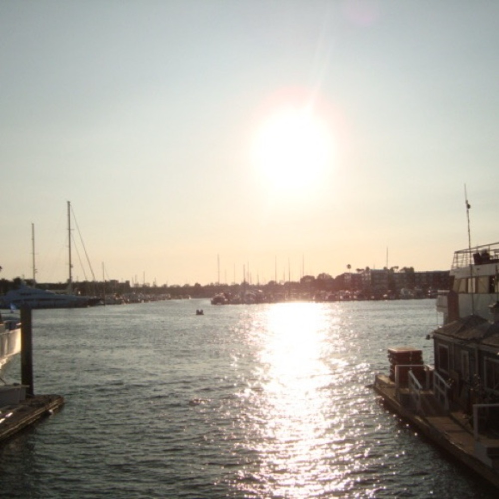 Meet your Posher, Tanvi